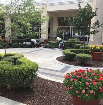 Landscaping Maintenance for Businesses 